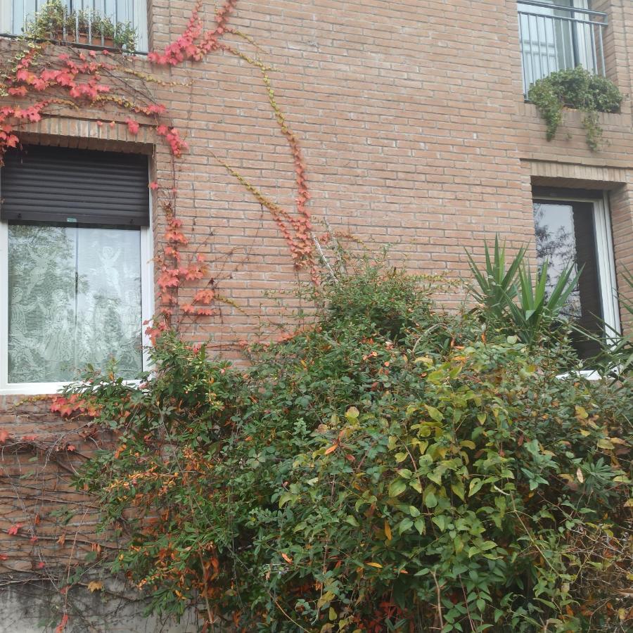 Felino Casa Vincenzo 130 Mq Con Portico Ed Ingresso Esclusivo Dal Giardino 빌라 외부 사진